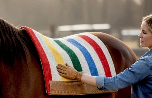 Navajo style western - navajo,