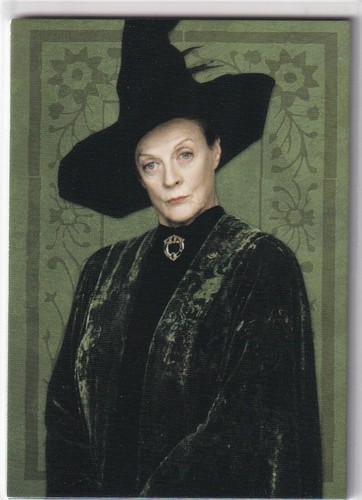 Panini harry potter - panini,