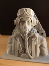 RC 1/6 scale RAF pilot with Spitfire bott.. Made In the UK..