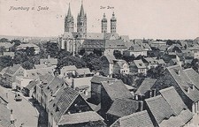AK Naumburg a. Saale, Panorama, gelaufen 1920