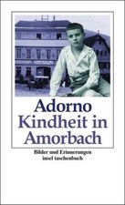 Kindheit in Amorbach: Bilder und Erinnerungen (insel tas... | Buch | Zustand gut