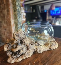 Wurzelholz Obstschale Glasvase Gamal wurzelholz Mount Everest Collection-005