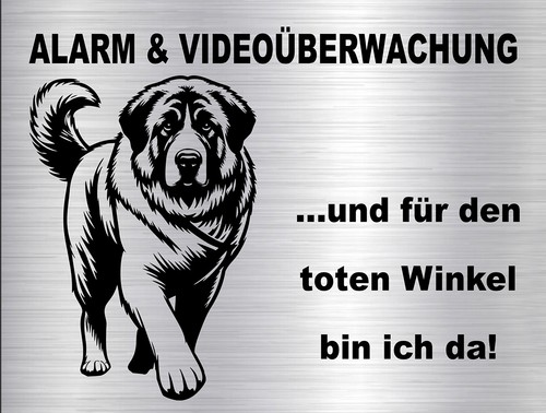 Kangal akbash hundewarnschild - kangal,