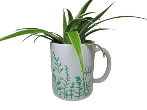 Pflanz tasse blumentopf - pflanz,