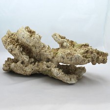 Riffgestein, 41 x 23,5 x 18