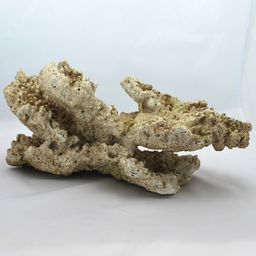 Riffgestein 5 x 18 - x, 23,5