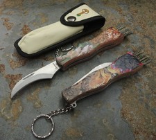 Albainox Ostrica Pilzmesser