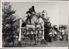 Foto Köln, Springreiten