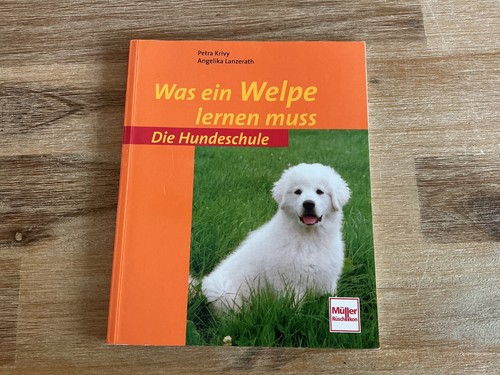 Was ein welpe lernen muss - welpe,