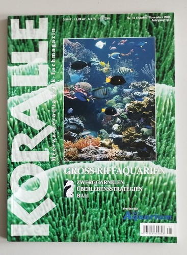 Koralle 41 - koralle,