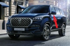 Spiegelblinker links Mirror