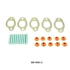 EM-19001.2 5 x Dichtung