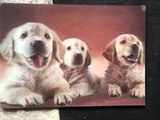 " sehr schönes 3 D Bild Hunde " - auf Holzplatte