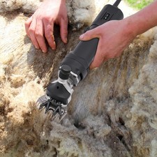 Schafschere Schermaschine