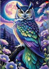 GDYEEH Bunte Eule Diamond Painting Erwachsene, 5D Mond Diamant Painting Bilder