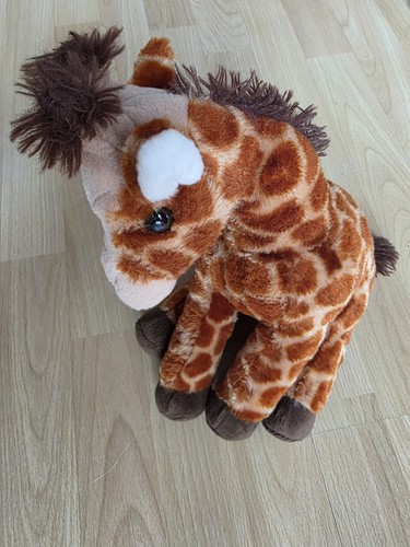 Hübsche giraffe sitzend - giraffe,