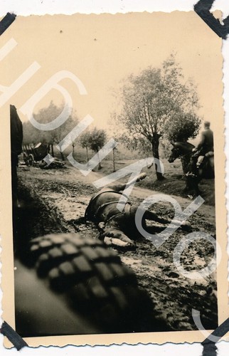 Foto polen flüchtlings - foto,