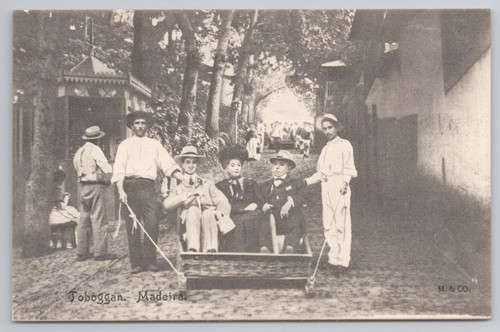 Bedruckte rodel madeira - bedruckte,