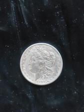 One Dollar Morgan Dollars 1899