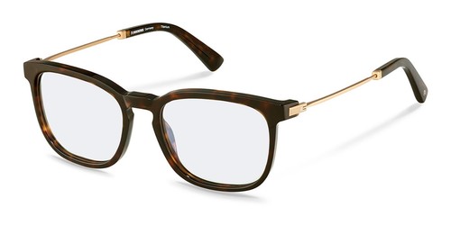 Rodenstock r8029 brille - b, 53
