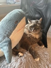 IKEA Hai BLAHAJ Stofftier Plüschtier Stoffhai Kuscheltier BLÅHAJ Shark ikeashark