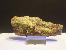 Autxxnit in Granit (Bergen, Vogtland)