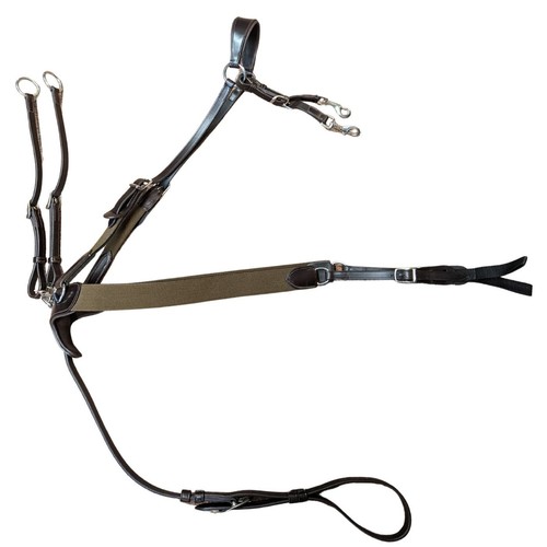 Harry dabbs platinum point - dabbs,