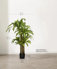 MAIA SHOP Dracena Kunstpflanze
