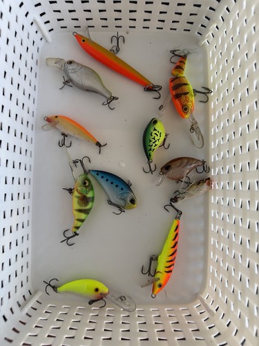 Wobbler rapala und weitere - wobbler,