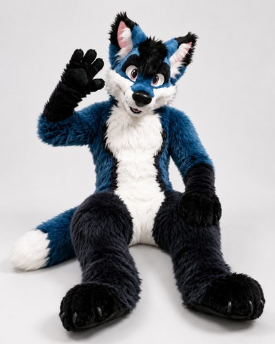Blau weiß schwarz - schwarz, fuchs