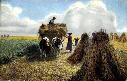 Landwirtschaft heuernte - ak,