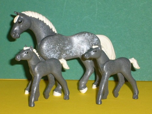 Playmobil ein pferd mit zwei - ,