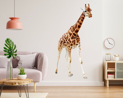 Gehende giraffe h968 - giraffe, tier