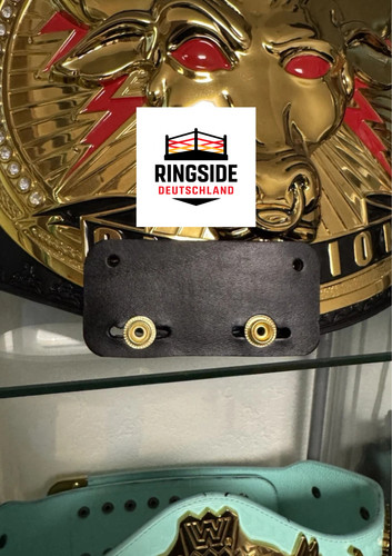 Wwe gürtel wallhanger replica - wwe,