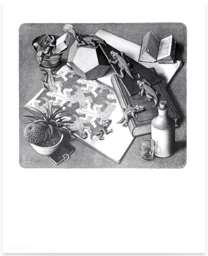 Reptilien c escher 55x65 - escher,