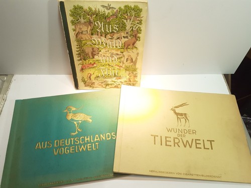 Stück albume - stück,
