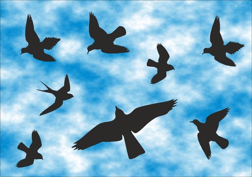 Vögel aufkleber stück - vögel,