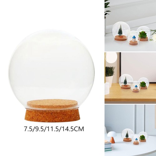 Klarglas kuppel display - klarglas,