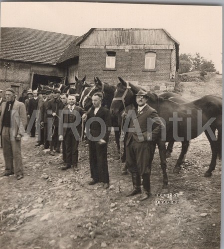Foto übernahme der pferde - foto,,