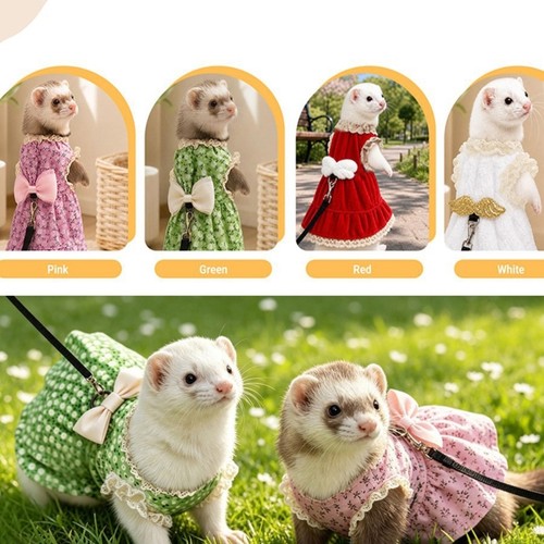 Rabbit suit harness - harness, for