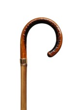 Stock-Fachmann Gehstock