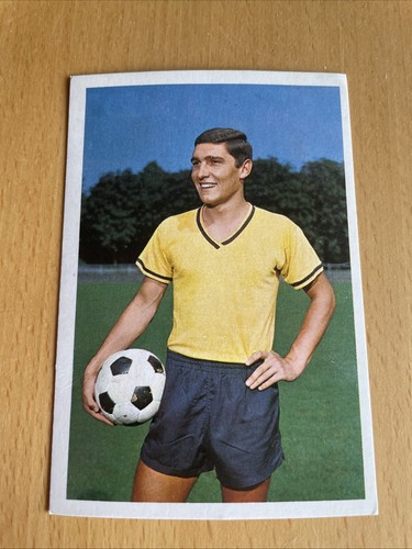 Bergmann 1965 58 - 1965/66, assauer