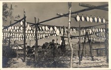 Ak Ostpreußen, Flundern, die