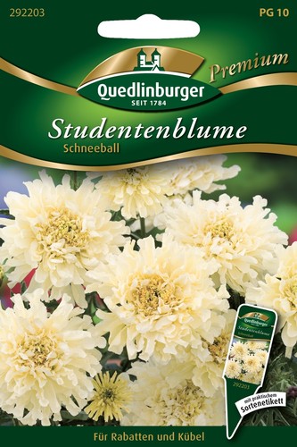 Studentenblumen schneeball - studentenblumen,
