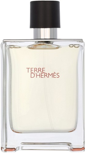 Hermes terre - 100,