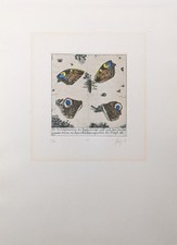 Maurilio  Minuzzi, Tagpfauenauge, Radierung, signiert, num., betitelt, 1976