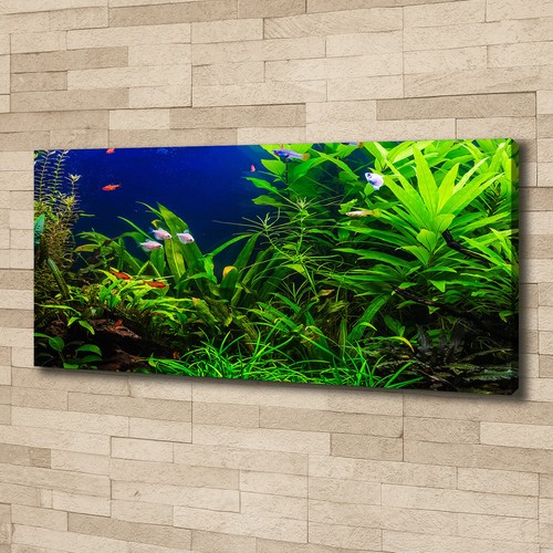 Leinwandbild kunst druck - leinwandbild, kunst-druck