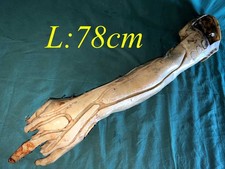 Lehrmodell Injektionstechnik Verletzten Arm Menschlicher Körper Requisite Body Y