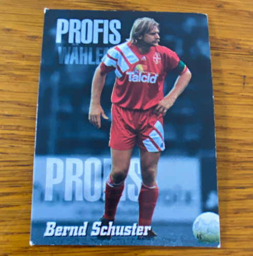 Panini profis fussball - panini,