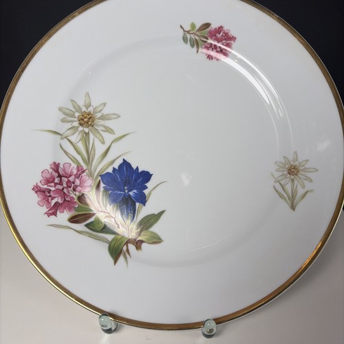 Teller enzian blüte - ,